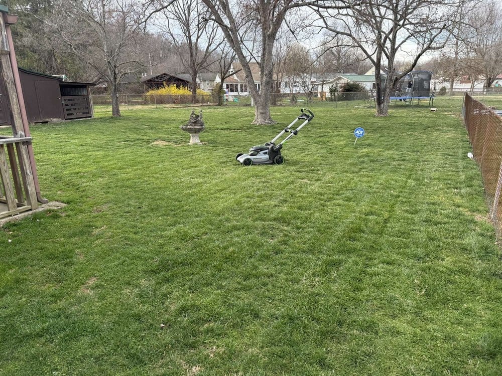 Stripes through the yard