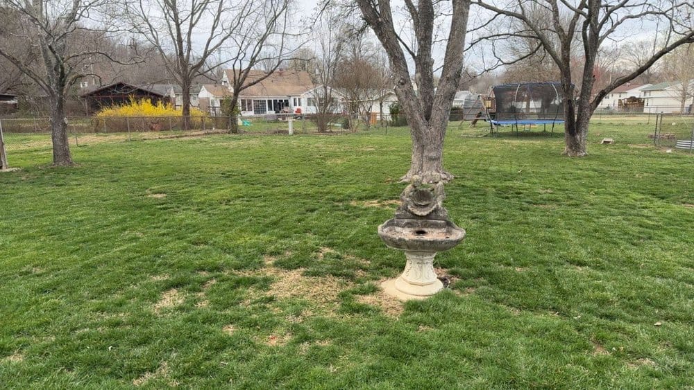 Trimmed around the beds
