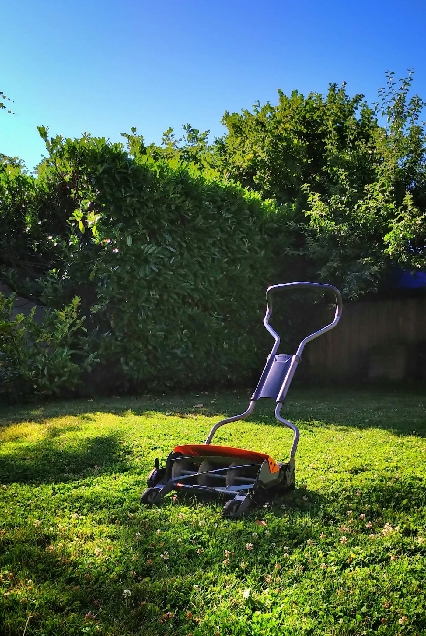 Mower on a lawn